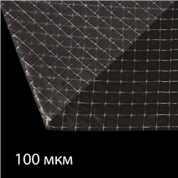 Плёнка полиэтиленовая, армированная леской, толщина 100 мкм, 10 × 2 м, с УФ-стабилизатором