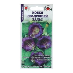 Семена цветов Кобея "Свадебный Вальс", 0,3 г