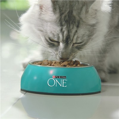 Сухой корм Purinа One для домашних кошек, индейка/злаки, 3 кг
