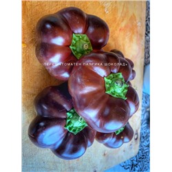 Перец «Томатен паприка шоколад» 10 семян