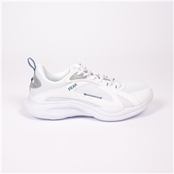 Кроссовки мужские WALKING SHOES, Peak