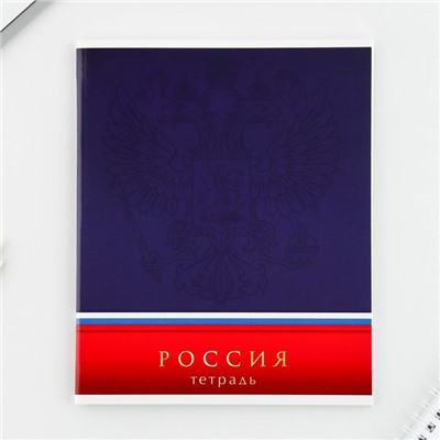 Тетрадь А5, 48 л на скрепке МИКС «Шрифтовые яркие», обложка мелованный картон 230 гр., внутренний блок №1, в клетку 80 гр., белизна 96%