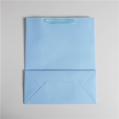 Пакет подарочный «Голубой», 26 х 32 х 12  см