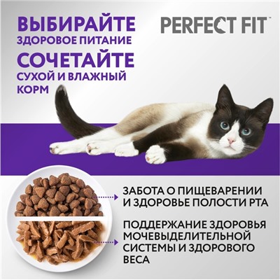 Сухой корм Perfect Fit для взрослых кошек «Здоровье почек», 650 г