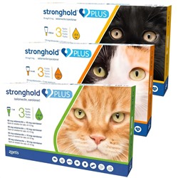Stronghold PLUS für Katzen