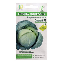 Семена Капуста белокочанная "Орфей", F1, 0,2 г