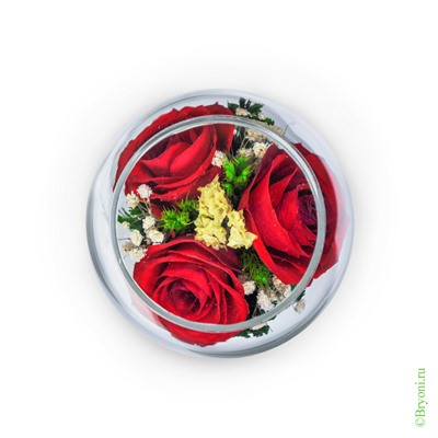 Композиция из красных роз (арт. BmiR2) в подарочной упаковке