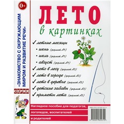 Лето в картинках. Наглядное пособие для педагогов, логопедов, воспитателей и родителей