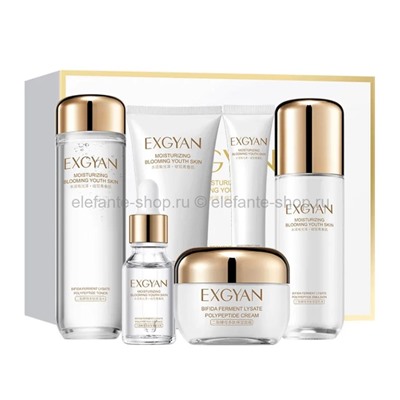 Набор EXGYAN Moisturizing Blooming Youth Skin Set (13)