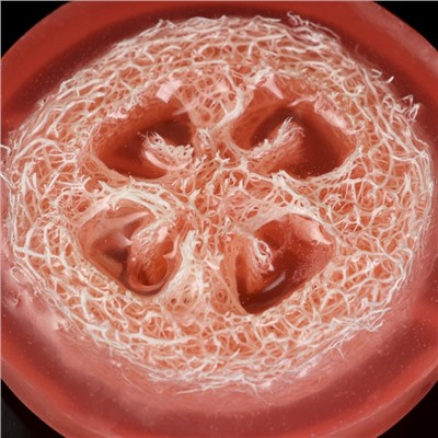 Массажное мыло с люфой "Таблетка" 79гр