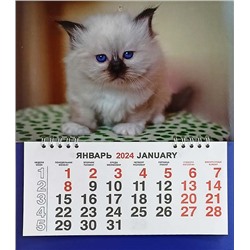 Календарь моно-эконом 2024г. Животные Котёнок на пледе КМ-24407