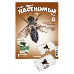 Журнал № 31 "Настоящие насекомые" (Пчела-листорез)
