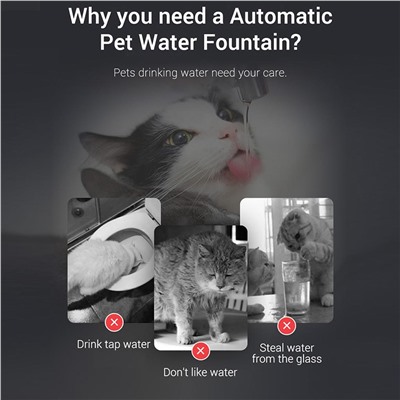 Питьевой фонтан для кошек и собак автоматический, Прозрачный