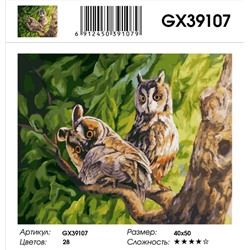 Картины 40х50 GX, GX 39107