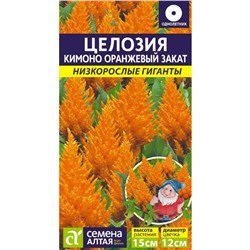 Цветы Целозия Перистая Кимоно Оранжевый закат/Сем Алт/цп 10 шт. Низкорослые гиганты