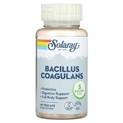 Solaray Bacillus Coagulans - 5 миллиардов КОЕ - 60 вегетарианских капсул - Solaray