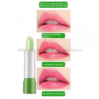 Набор помад с алое вера Daixuere 98% Aloe Essence Lipstick Pen, 10 штук (106)