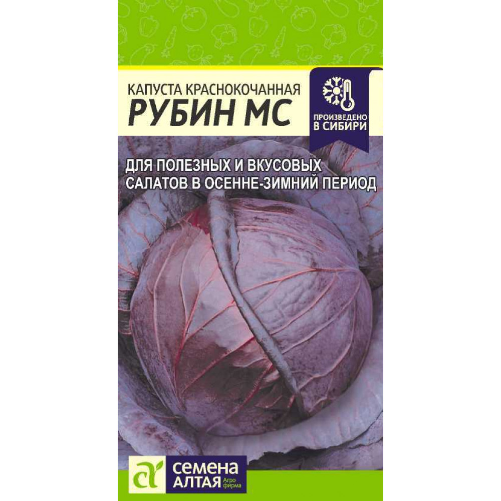 Капуста краснокочанная рубин мс характеристика и описание сорта фото