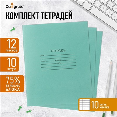 Комплект тетрадей из 10 штук, 12 листов в клетку КПК "Зелёная обложка", блок №2, белизна 75% (серые листы)