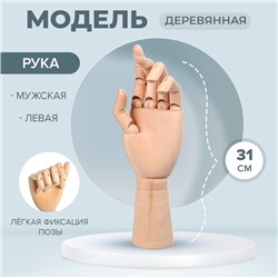 Модель деревянная рука, мужская, левая, 31 см