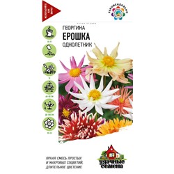 Георгина Ерошка смесь (Код: 152)