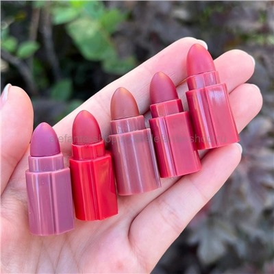 Набор помад в стике-держателе Fit Colors 5in1 Lipstick