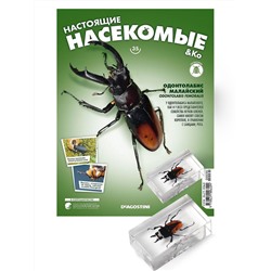 Журнал № 35 "Настоящие насекомые" (Одонтолабис малайский)