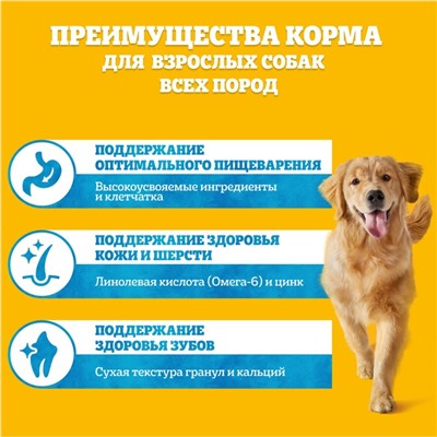 Сухой корм Pedigree для собак всех пород, говядина, 13 кг