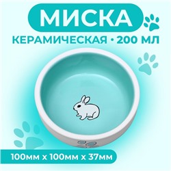 Миска керамическая для кроликов 200 мл  10 х 3,7 см, бело-зеленая