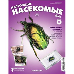 Журнал №60 "Настоящие насекомые" С ВЛОЖЕНИЕМ! Бронзовка протэтия