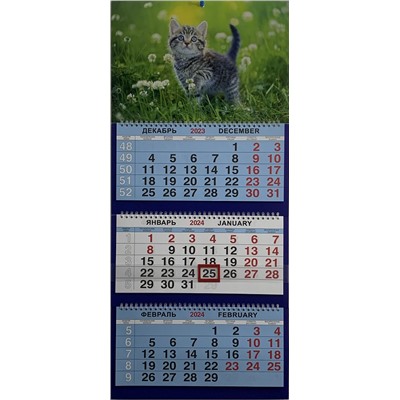 2024г. Календарь-трио Животные Котенок в траве КТ-24436
