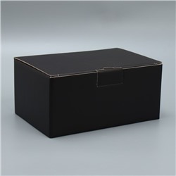Коробка‒пенал «Черный», 22 × 15 × 10 см