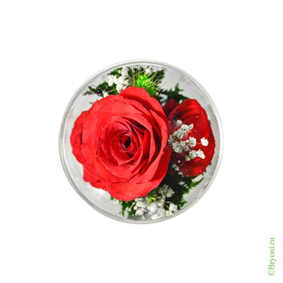 Композиция из красных роз (арт. RmiR) в подарочной упаковке