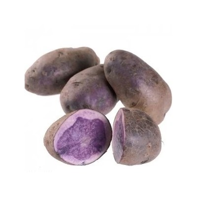 Картофель Салблю (фиолетовый)