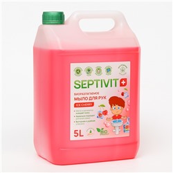 Жидкое мыло SEPTIVIT "Ice Cherry", 5 л