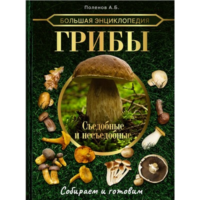 Большая энциклопедия. Грибы. Съедобные и несъедобные. Собираем и готовим.