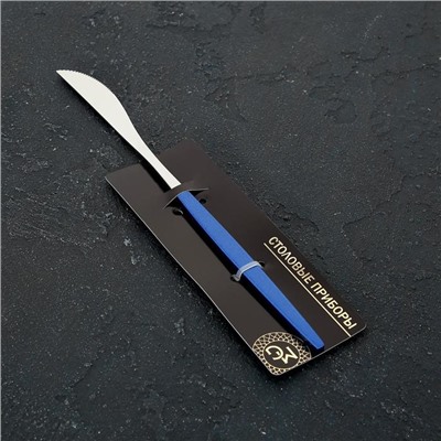 Нож столовый из нержавеющей стали Magistro «Блинк», длина 22 см, на подвесе, цвет серебряный, синяя ручка