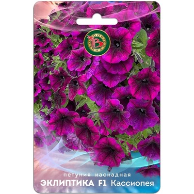 Петуния каскадная Эклиптика F1 Кассиопея