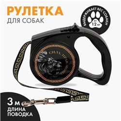 Рулетка «Сила. Нрав. Мощь» 3 м, max=12 кг, чёрная