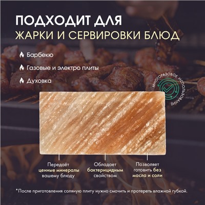 Кирпич из иранской горной соли, 20х10х5 см, цвет микс