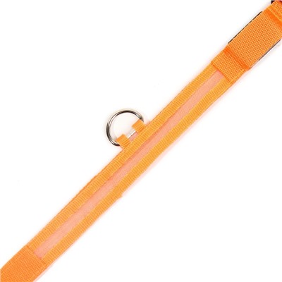 Ошейник с подсветкой размер L, ОШ 45-52 х 2,5 см, 3 режима свечения оранжевый