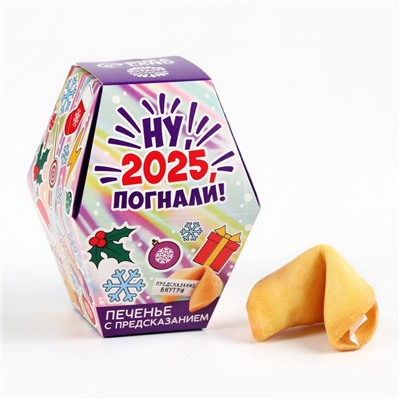 Печенье с предсказаниями в коробке «Ну, 2025, погнали»