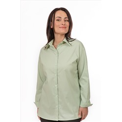 Женская блузка, артикул 5-93Д
