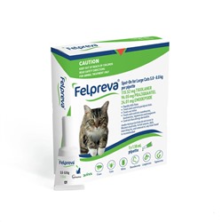 Felpreva Spot-On für große Katzen 5-8kg (11.02-17.63 lbs) - 1PK
