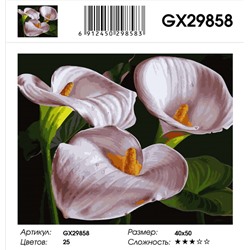 GX 29858