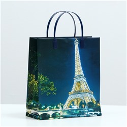 Пакет "Ночь в Париже", мягкий пластик, 26 x 23 см, 100 мкм