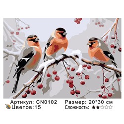 CN0102 Картины по номерам 20*30 цвет.холст