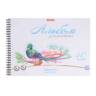 Альбом для рисования А4, 40 листов, блок 120 г/м², на спирали, Erich Krause "Birds", пластиковая обложка, 100% белизна, перфорация на отрыв, твердая подложка