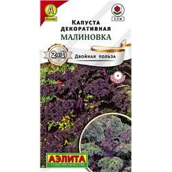 Капуста декоративная Малиновка (Код: 90070)