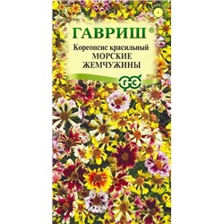 Кореопсис Морские жемчужины (Код: 92732)